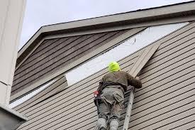 Best Siding for New Construction  in Friars Point, MS